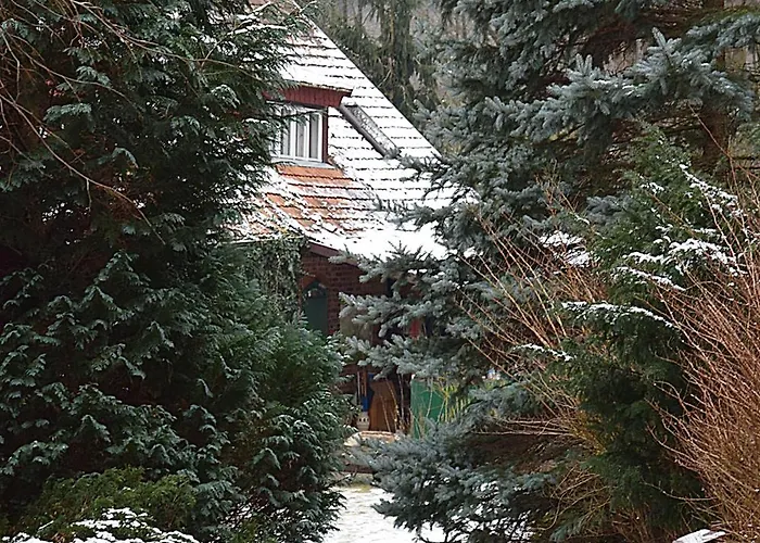 Garaze Деревянный коттедж